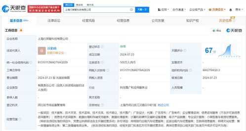 T3出行上海成立新公司，聚焦信息技術(shù)咨詢服務(wù)